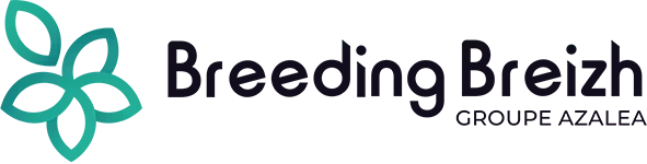 Breeding Breizh - Groupe Azalea