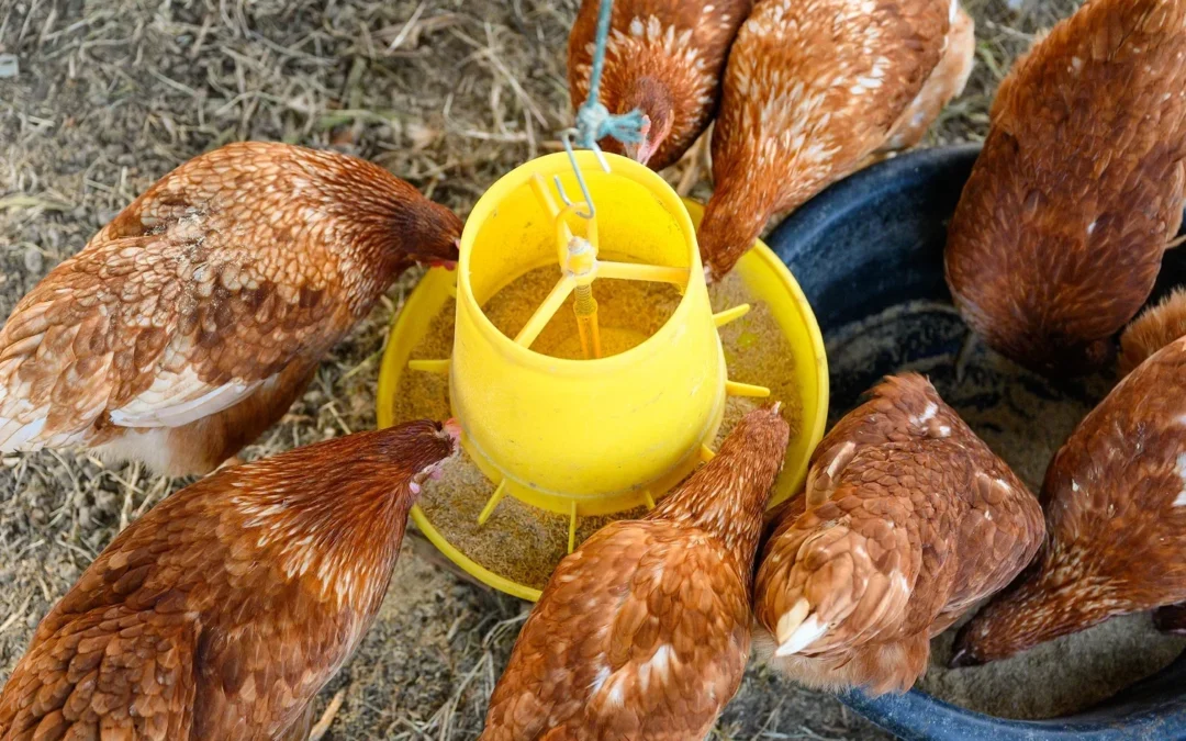 Lorem ipsum dolor sit amet, consectetur adipiscing elit, sed do eiusmod tempor.